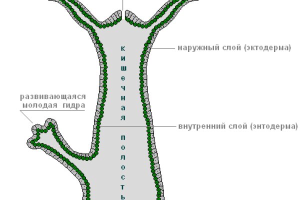 Мега официальный сайт прайс