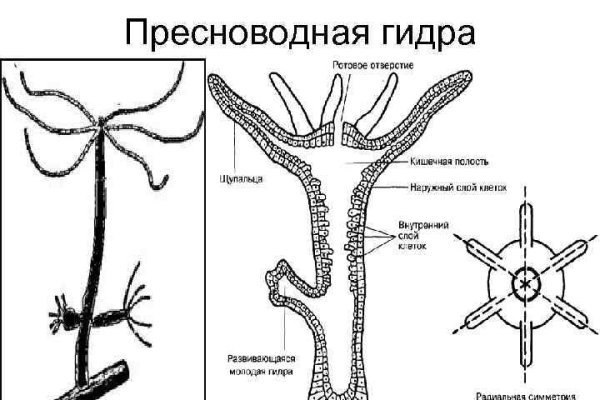 Mega sb зеркало